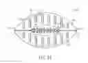 Fig. 22 - Game ball having optimally positioned grooves and/or ridges