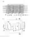 Fig. 02 - Torque transmission chain and torque transmission device