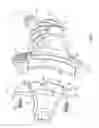Fig. 02 - Differential mechanism having multiple case portions