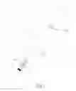 Fig. 06 - FIGHTING TRAINER
