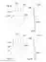 Fig. 24 - Adjustable weight exercise methods and apparatus