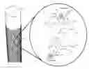Fig. 01 - Sorption reinforced catalytic coating system and method for the degradation of threat agents