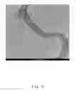 Fig. 03 - Method for making carbon nanotube based composite