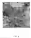 Fig. 05 - Method for making carbon nanotube based composite