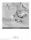 Fig. 06 - Method for making carbon nanotube based composite