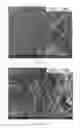 Fig. 02 - GRAPHENE/NANO-TITANIUM DIOXIDE COMPOSITES AND METHODS FOR PREPARING THE SAME