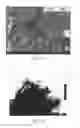 Fig. 03 - GRAPHENE/NANO-TITANIUM DIOXIDE COMPOSITES AND METHODS FOR PREPARING THE SAME