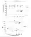 Fig. 03 - Methods and Compositions for Managing Water Quality in a Body of Water