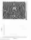 Fig. 01 - Process of constructing oxidation-reduction nanomedicine quantum dots room temperature quantum bit networks