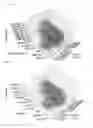 Fig. 05 - Process of constructing oxidation-reduction nanomedicine quantum dots room temperature quantum bit networks