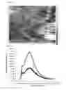 Fig. 06 - Process of constructing oxidation-reduction nanomedicine quantum dots room temperature quantum bit networks