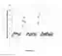 Fig. 23 - METHOD FOR DETERMINING COPY NUMBER VARIATIONS