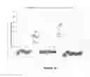 Fig. 26 - METHOD FOR DETERMINING COPY NUMBER VARIATIONS