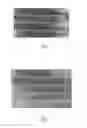 Fig. 03 - METHOD FOR DETECTING NUCLEATED CELLS