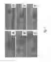 Fig. 07 - METHOD FOR DETECTING NUCLEATED CELLS