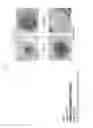 Fig. 14 - METHOD FOR DETECTING NUCLEATED CELLS