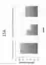 Fig. 17 - METHOD FOR DETECTING NUCLEATED CELLS