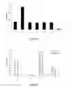 Fig. 07 - In vitro peptide expression library