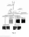 Fig. 05 - Compositions and methods for assessing cytotoxicity of single cells