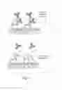 Fig. 06 - Compositions and methods for assessing cytotoxicity of single cells