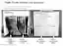 Fig. 01 - Dibasic esters utilized as terpene co-solvents, substitutes and/or carriers in tar sand/bitumen/asphaltene cleaning applications