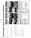 Fig. 07 - Dibasic esters utilized as terpene co-solvents, substitutes and/or carriers in tar sand/bitumen/asphaltene cleaning applications