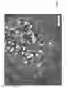 Fig. 02 - Pearlescent concentrate and process for production