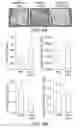 Fig. 07 - Compounds and methods for treating bone disorders and controlling weight