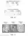 Fig. 16 - Compounds and methods for treating bone disorders and controlling weight