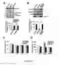 Fig. 08 - COMPOSITIONS AND MODULATION OF MYOCYTE ENHANCER FACTOR 2 (MEF2)