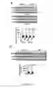 Fig. 10 - COMPOSITIONS AND MODULATION OF MYOCYTE ENHANCER FACTOR 2 (MEF2)