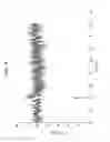 Fig. 06 - Long term potentiation with cyclic-GluR6 analogs