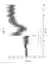 Fig. 07 - Long term potentiation with cyclic-GluR6 analogs