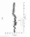 Fig. 08 - Long term potentiation with cyclic-GluR6 analogs