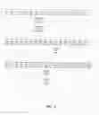 Fig. 04 - Diphtheria toxin variant