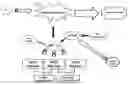Fig. 01 - Combination therapy for treating proliferative diseases