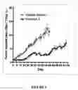 Fig. 06 - Combination therapy for treating proliferative diseases