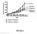 Fig. 07 - Combination therapy for treating proliferative diseases