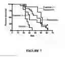 Fig. 08 - Combination therapy for treating proliferative diseases