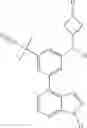 Fig. 22 - Kinase inhibitors