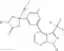 Fig. 303 - Kinase inhibitors