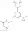 Fig. 449 - Kinase inhibitors