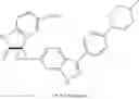 Fig. 170 - Kinase inhibitors and method of treating cancer with same