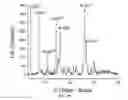 Fig. 40 - In vivo studies of crystalline forms of meloxicam