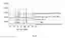 Fig. 63 - In vivo studies of crystalline forms of meloxicam