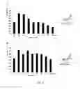 Fig. 12 - HUMIC SUBSTANCES AND THERAPEUTIC USES THEREOF
