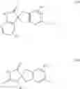Fig. 04 - NOUVEL COMPOUNDS