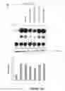 Fig. 04 - MODULATORS OF VIRAL TRANSCRIPTION, AND METHODS AND COMPOSITIONS THEREWITH