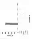 Fig. 14 - MODULATORS OF VIRAL TRANSCRIPTION, AND METHODS AND COMPOSITIONS THEREWITH