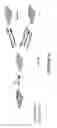 Fig. 15 - MODULATORS OF VIRAL TRANSCRIPTION, AND METHODS AND COMPOSITIONS THEREWITH